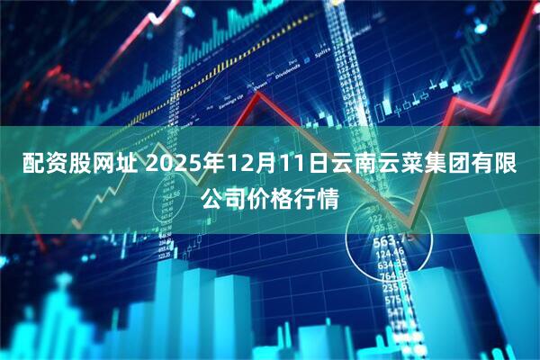 配资股网址 2025年12月11日云南云菜集团有限公司价格行情